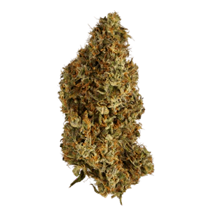 Bandwagon - Mango Cream 7g