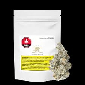 3rd Coast Genetics - Black Truffle