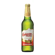 1B CZECHVAR PREMIUM LAGER - 500ML