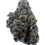 14g Limelight Petites