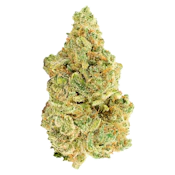 7g White WIdow - Versus