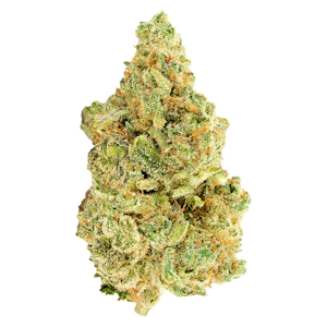 Versus - 7g White WIdow - Versus