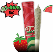 Level X Watermelon G-Bear 1 x 1 Distillate Infused Pre-Roll by XPLOR