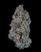 Sweetgrass | Triangle Queen Petites | 3.5G