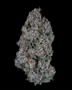 Sweetgrass Cannabis - Sweetgrass | Triangle Queen Petites | 3.5G