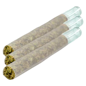 Magik Dragon 3 x 0.5g Pre-Rolls by Puffer's Paradise