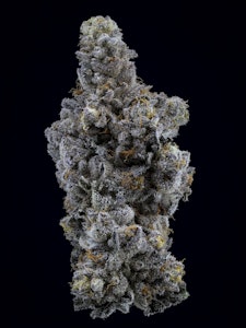 Sweetgrass Cannabis - Sweetgrass | Limelight Petites | 3.5G