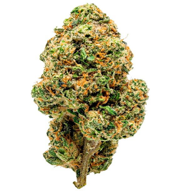 Clock In (Skywalker OG) | 7g