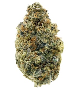 All Nations - All Nations | Lemon Tartz | 14 g