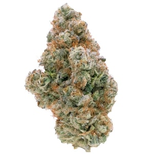 Northern Canna - Galactic Guava