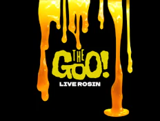 It Came From The Kush 1g Live Rosin