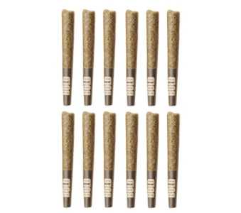 BOLD - ROOT BEER FLOAT - 12 x 0.5g