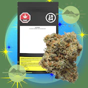 BLUE DREAM - BC ORGANIC - 1964 - 3.5G