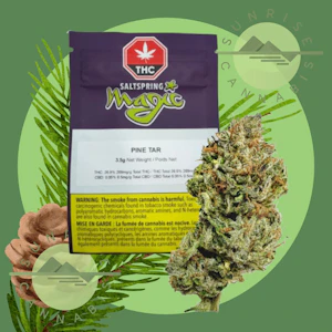 Saltspring Magic - PINE TAR - SALTSPRING MAGIC (DFG) - 3.5G