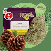 PINE TAR - SALTSPRING MAGIC (DFG) - 14G