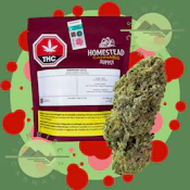 SATIVA BANDWAGON - BC ORGANIC - HOMESTEAD - 28G