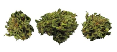 COASTAL FOG LTO - 14