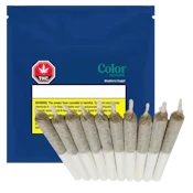 BLUEBERRY SEGAL 10PK