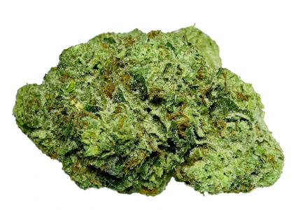 SMOKER FARMS - MASTER KUSH ULTRA