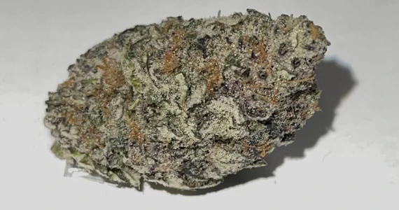 Saltspring Magic - SALTSPRING MAGIC - GREY GOOSE - 14G