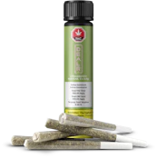 STRAWBERRY MATCHA | 5 X 0.5g