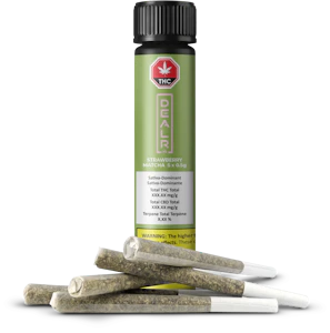 DEALR - STRAWBERRY MATCHA | 5 X 0.5g