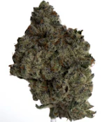 SALTSPRING MAGIC - BLUE ZUSHI SMALLS - 28G