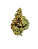 TURBULENCE LTO - 7 GRAMS