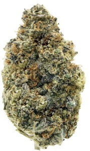 All Nations - ALL NATIONS - LEMON TARTZ - 14G