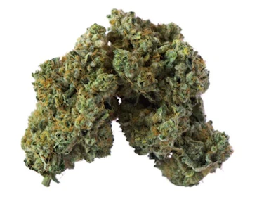 Island Genetics  - LIME HEADS | Island Genetics 7g Flower | Elevate