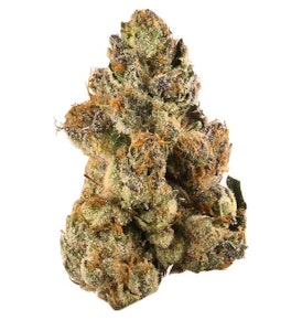 Rogworld - BONG GURU ROCKSTAR | Rogworld 14g Flower | Balance