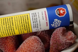 Strawberry Sensi 7 x 0.5g Pre-Rolls