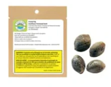 Purple Romulan Fast Flowering Feminized Seeds