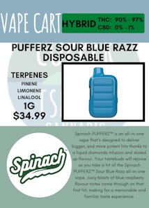 Spinach - SPINACH - PUFFERZ SOUR BLUE RAZZ DISPO