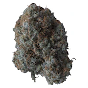 B!tch Slap | 3.5g | Supernova Farms