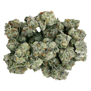 Frenchy Macaroni | 28g | Starting Point!