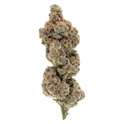 Punch Out 7g Dried Flower