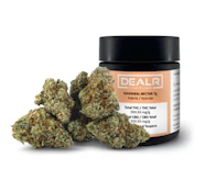 Dealr - Hannibal Nectar (7g)