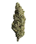 Pure Sunfarms - Blue Dreams #16 (28g)