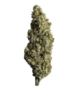 Pure Sunfarms - Pure Sunfarms - Blue Dreams #16 (28g)