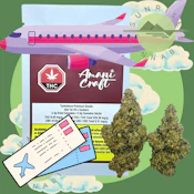 TURBULENCE - AMANI CRAFT -  3.5G