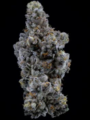 Limelight Petites - 3.5g