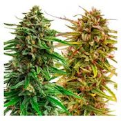 Cannabis Cup Variety Pack Seeds 2x2 (4 Pack of Feminized Autoflower Seeds)