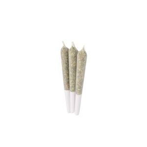 The House of Craft - Platinum Dosi Pre-Rolls - 10x0.5g