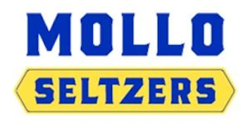 Mollo Seltzers Blackberry Seltzer 355ml Sparkling Beverage