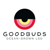 Good Buds Mango Cake Live Resin 1g Prefilled Vape Cartridge