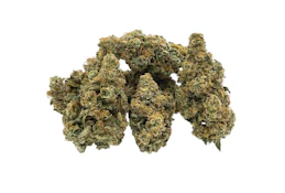 TRAILBLAZER ROOTBEER #8 SATIVA - 14G