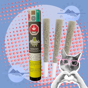 JBuds Craft Cannabis - GASTRO POP - JBUDS - 3X0.5G