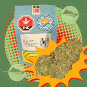 ROMULAN - PAPA JOE'S ORGANICS - 7G