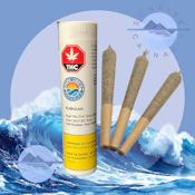 ROMULAN - PAPA JOE'S ORGANICS - 3X0.5G